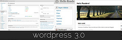 WordPress 3 Gets A New Default Theme