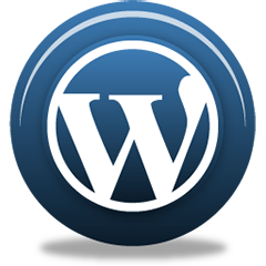 Insights WordPress Plugin