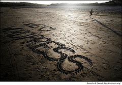 10 Great Things About Wordpress