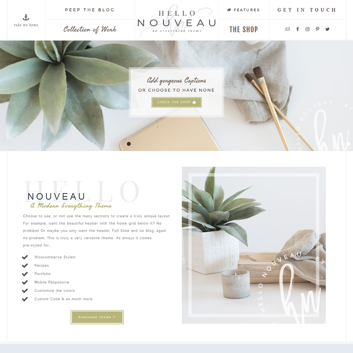 Nouveau-wp-theme-for-women-enterprenuers