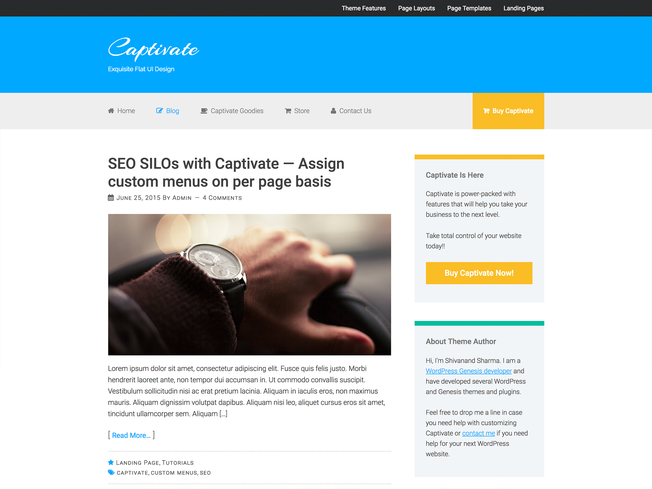 Theme Development — Captivate (Premium Theme)