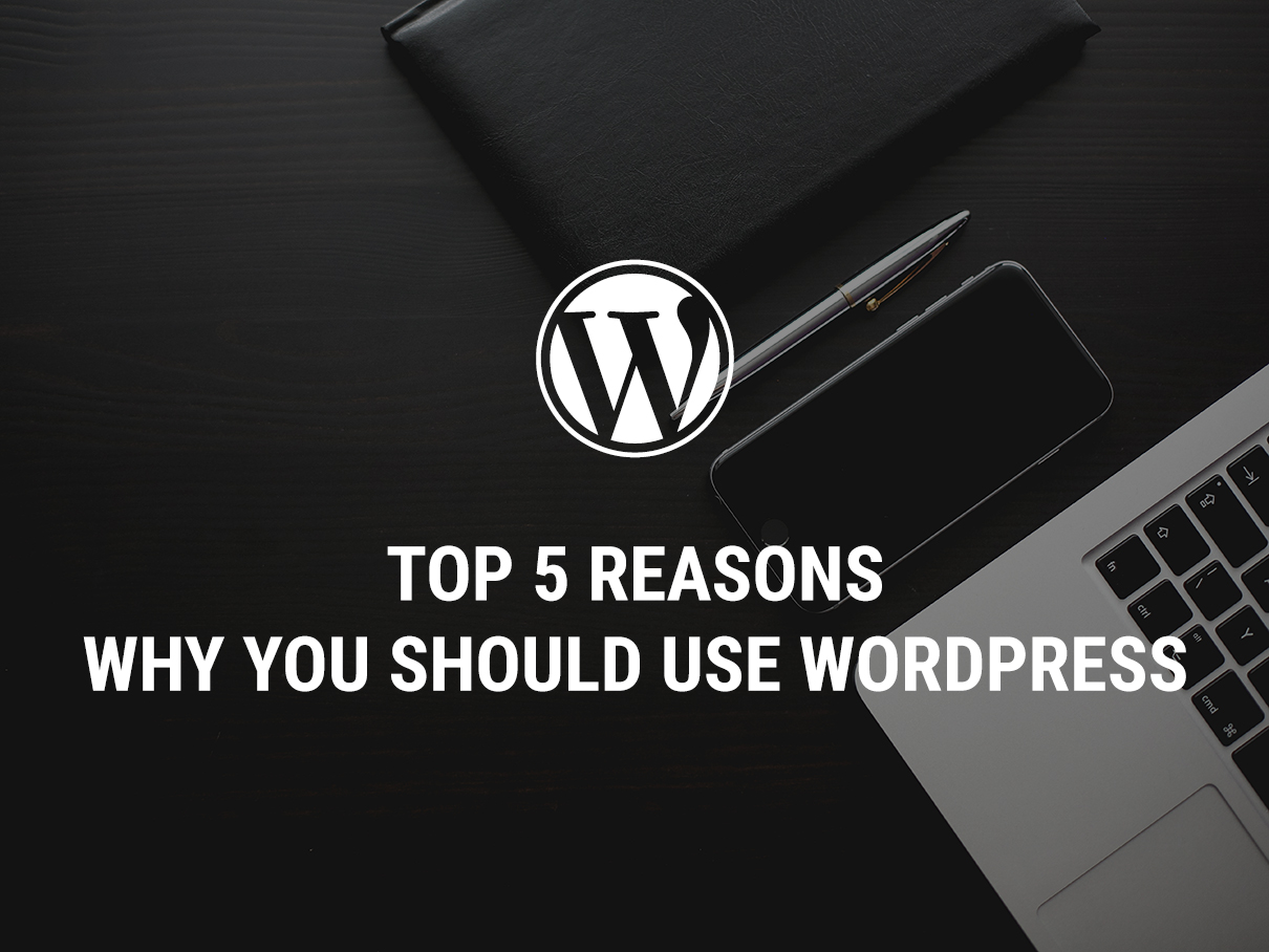 Top 5 Reasons Why You Should Use WordPress