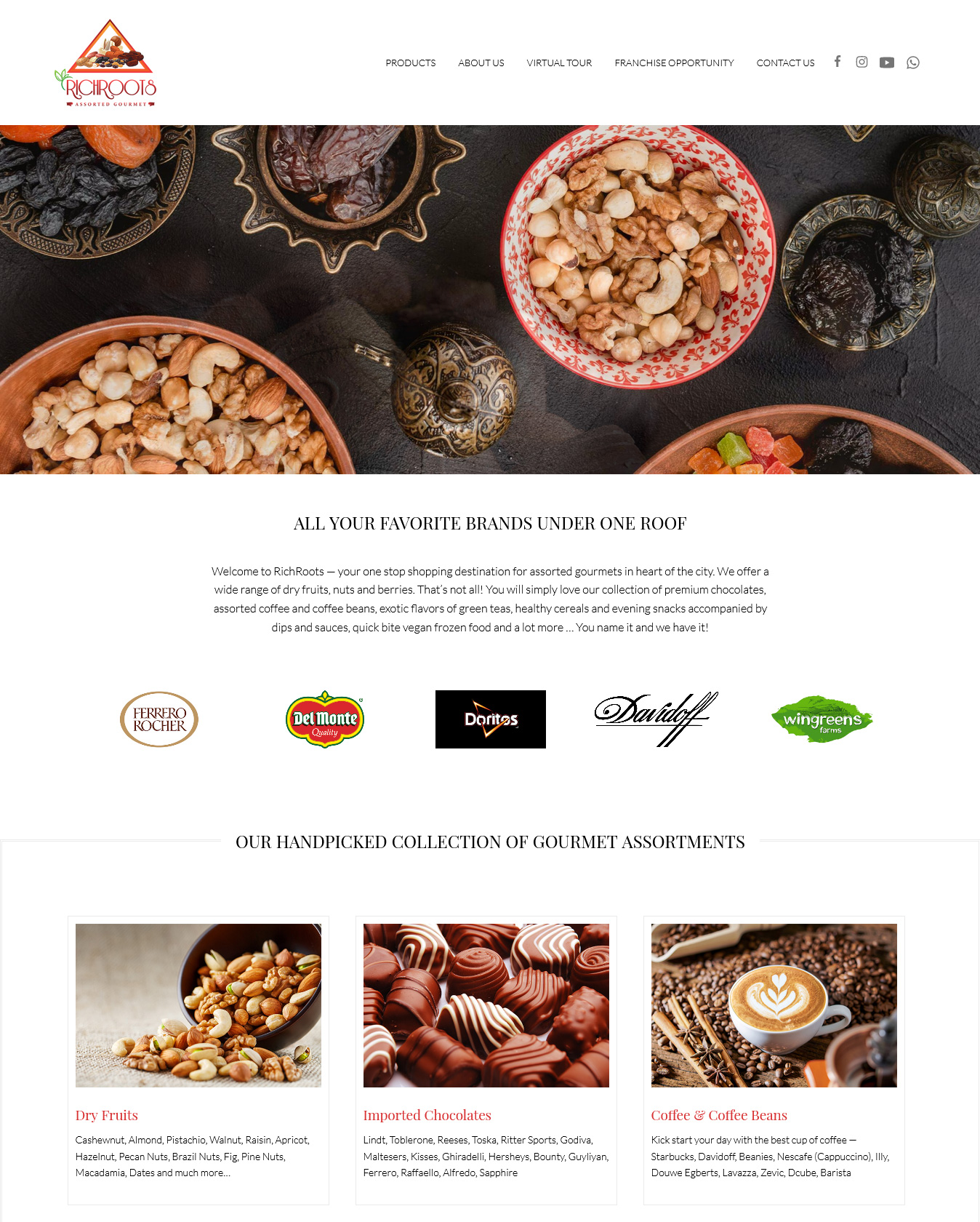 Custom Website Design for RichRoots.in