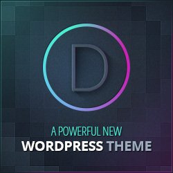 Divi Theme by Elegant Themes